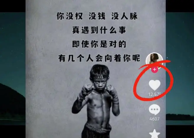 1663132800-00cf0101e5d50cc 1663132800-00cf0101e5d50cc