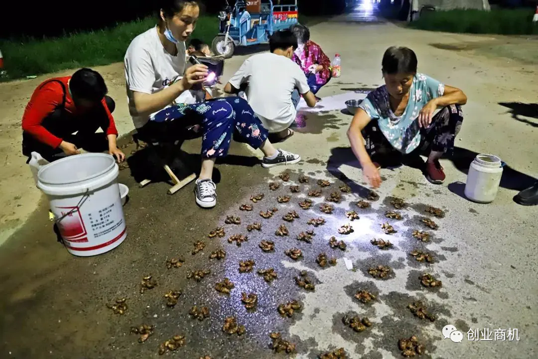 1663766506-9506153623d1390 1663766506-9506153623d1390