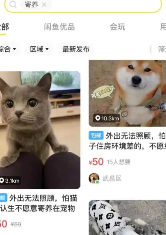 1665500850-292b323ae39a6e3 1665500850-292b323ae39a6e3