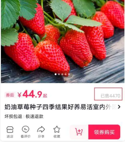 1669365451-4d173408b5d34e8 1669365451-4d173408b5d34e8