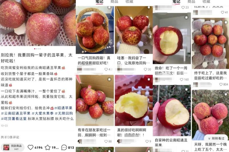 1669365505-6fe4e3d4a144599 1669365505-6fe4e3d4a144599