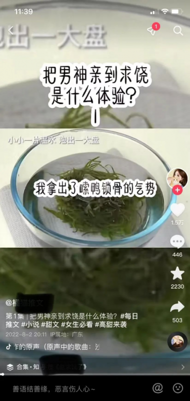 1671971310-db8116539d97d8b 1671971310-db8116539d97d8b