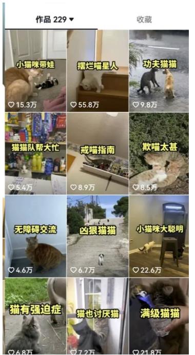 1690383339-00a6888103c130c 1690383339-00a6888103c130c