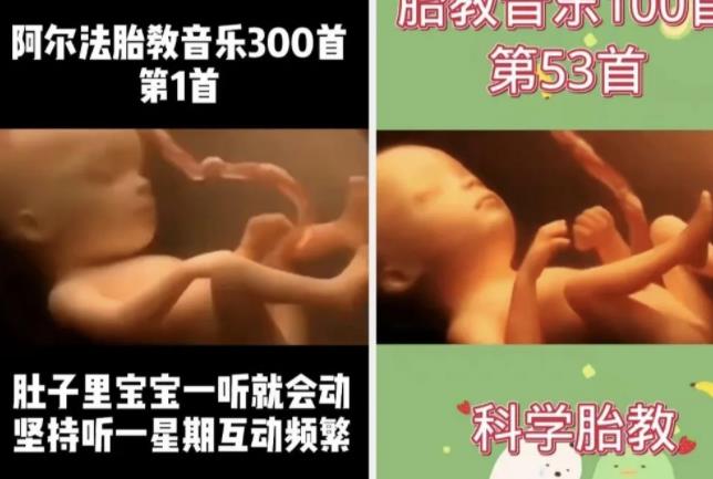 1709779510-afb96558a79a38e 1709779510-afb96558a79a38e