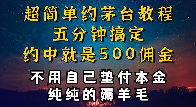 1712137252-71693b6ae23828e 1712137252-71693b6ae23828e