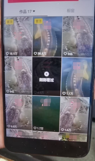 0fadf6f0b75bcea 0fadf6f0b75bcea