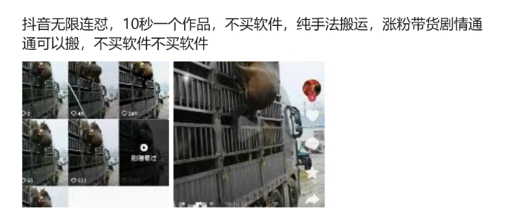 923f27a8e9082d1 923f27a8e9082d1