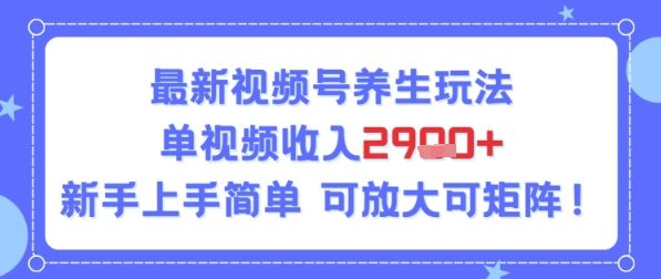 780dd2f493a09e8 780dd2f493a09e8
